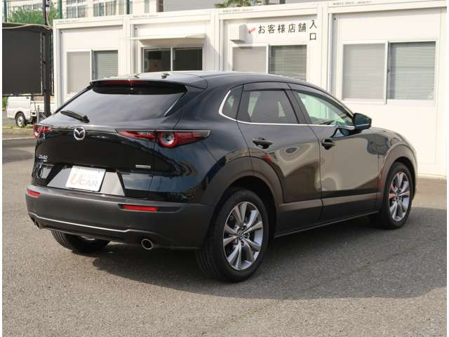 CX-302.0 20S 4WD