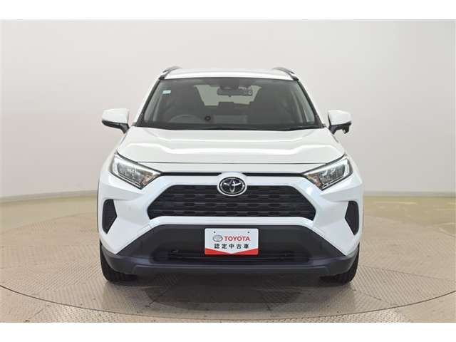 RAV42.0 X
