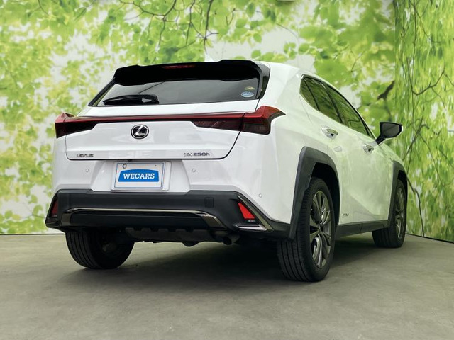 UX250h Fスポーツ