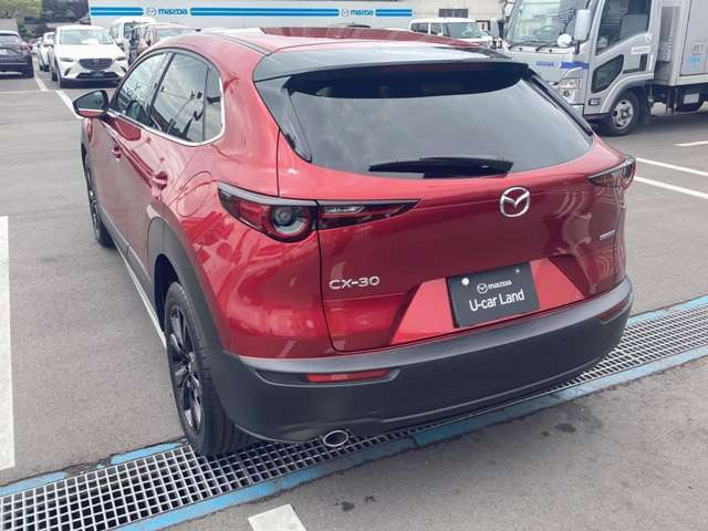 CX-30