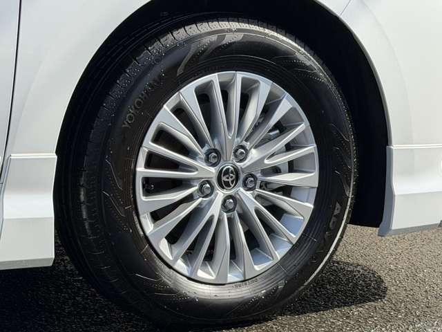 ����17�C���`�A���~�z�C�[��(�V���o�[���^���b�N�h��)
