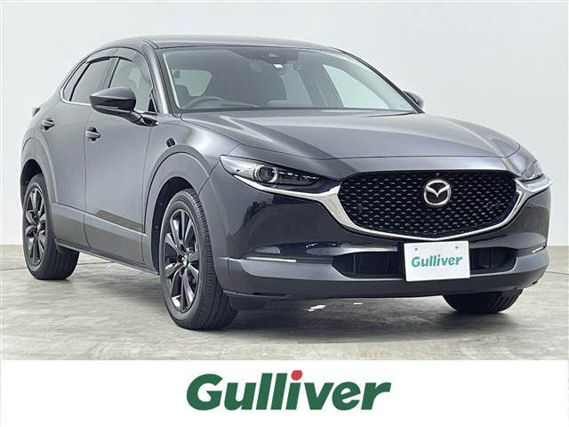 CX-302.0 20S ブラックトーンエディション