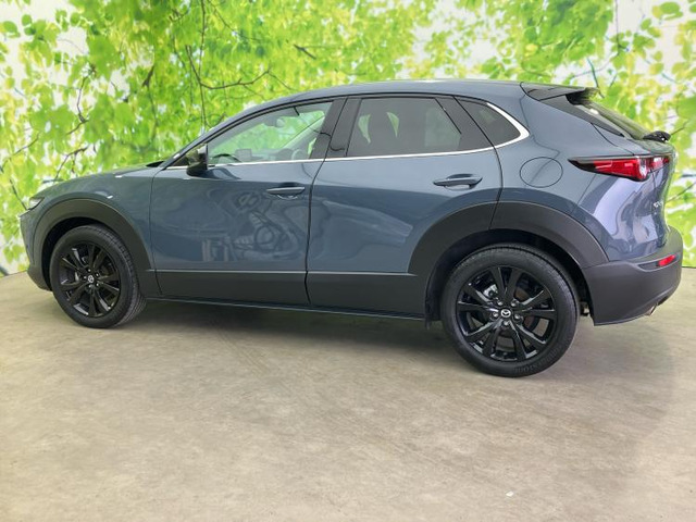 CX-302.0 20S ブラックトーンエディション