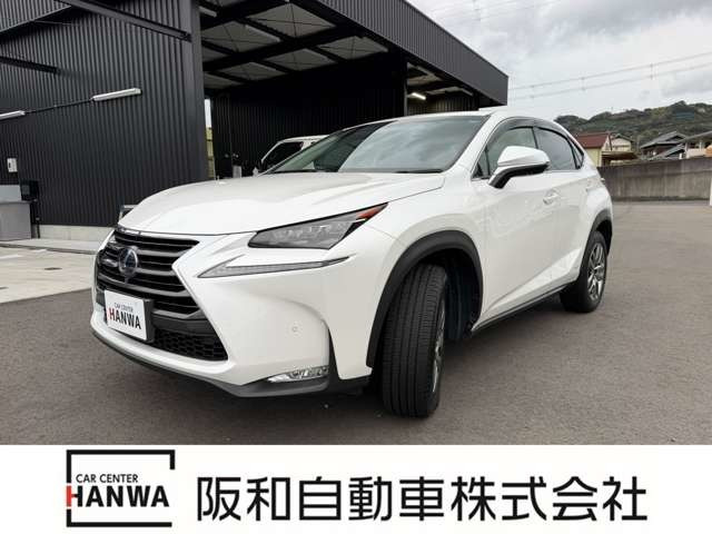 NX300h Iパッケージ