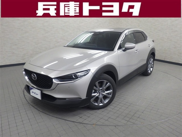 CX-302.0 20S プロアクティブ