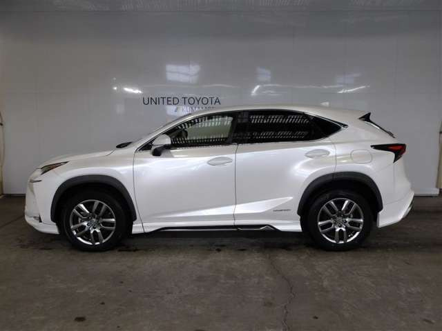 NX300h Iパッケージ