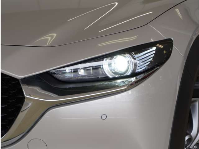 CX-302.0 20S プロアクティブ ツーリングセレクション 4WD