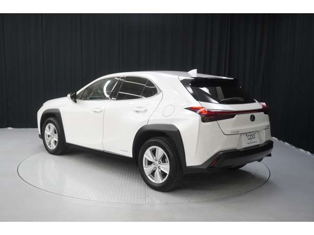 UX250h バージョンC