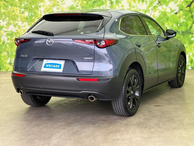 CX-302.0 20S ブラックトーンエディション