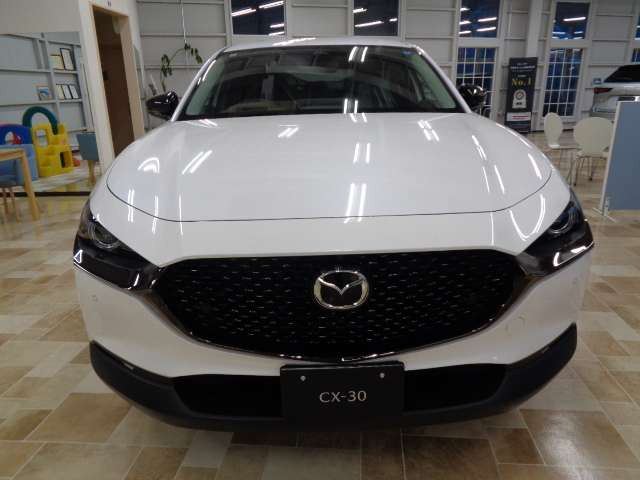 CX-301.8 XD ドライブ エディション 4WD