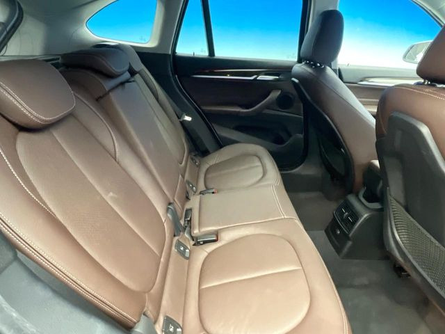 ���㕔���Ȃ��C�ɂȂ�悤�ȃL�Y�E�����ւ��蓙�A�傫�ȃ_���[�W�͂Ȃ��A�ǍD�ȏ�Ԃł��B