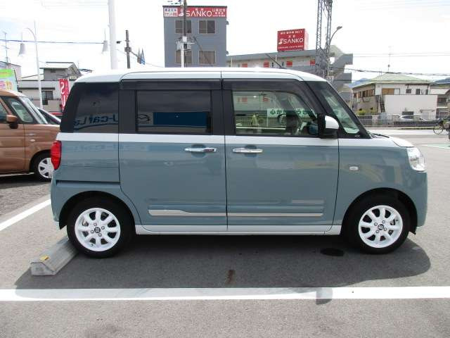 ムーヴキャンバスストライプス G