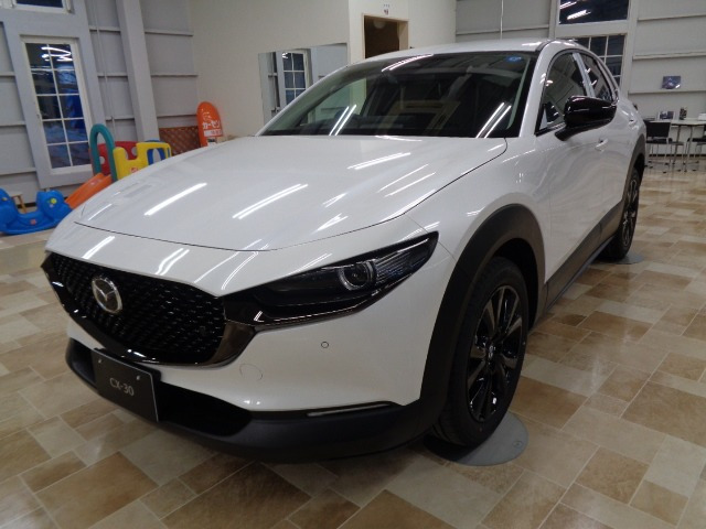 CX-301.8 XD ドライブ エディション 4WD