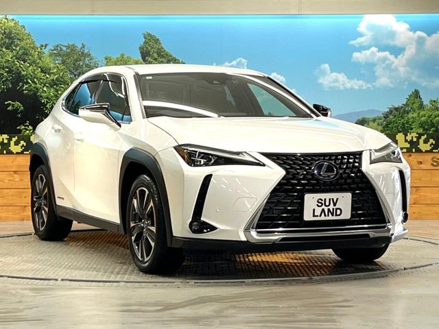 �������x�̃K���X�疌�ŝ����͂������A�㎿�ȃc���E����������B���O����_���J�����؂Ȉ��Ԃ�ی삵�A�F�����E�򉻂�h�~�B�u�e�X�v���b�V���R�[�g�v�A�u�e�v���~�b�T�R�[�g�v���炨�I�т��������܂��B