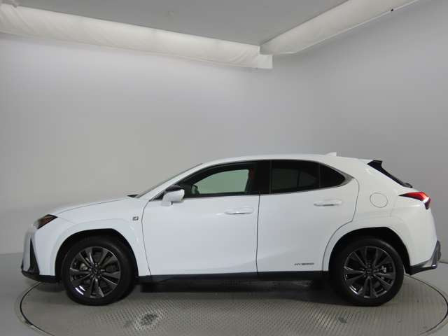 UX250h Fスポーツ