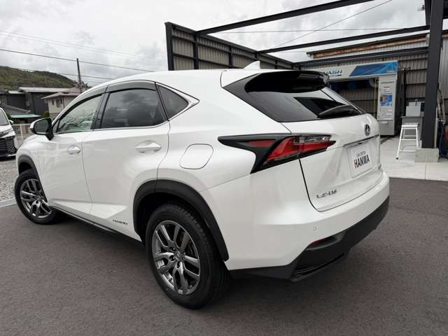 NX300h Iパッケージ