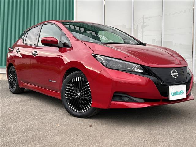 リーフX Vセレクション