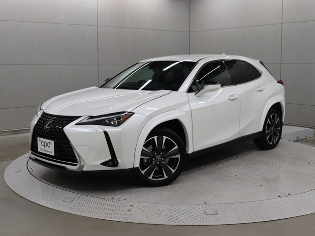 UX250h バージョンL