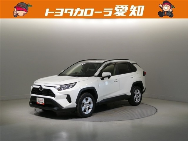 RAV42.0 X