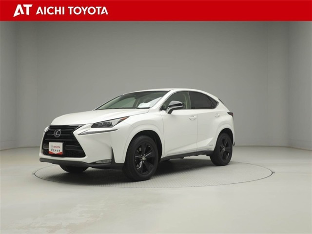 NX300h アーバンスタイル