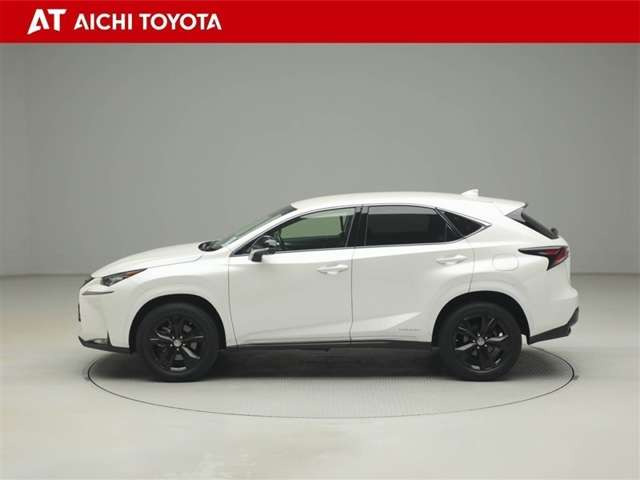 NX300h アーバンスタイル