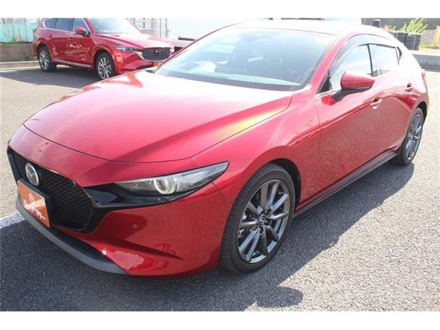 ���Ǝҗl�ւ̔̔��͂��f�肳���Ă��������܂��B �Ԍ������ԗ��̏ꍇ�́A�Ԍ����擾�������x�������z�ŕ\�����Ă���܂��B