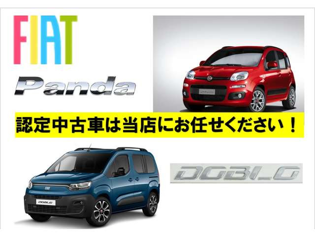 パンダイージー