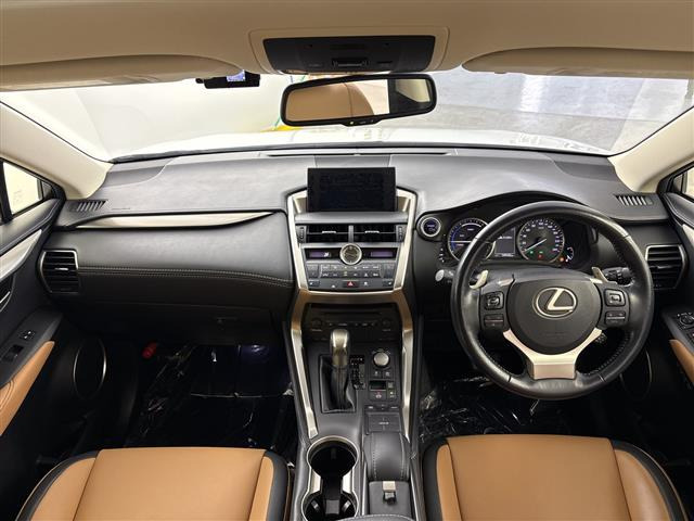 NX300h Iパッケージ