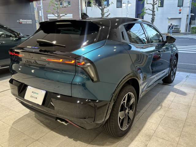 ジュニアイブリダ プレミアム