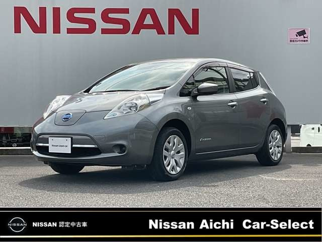 リーフ30kWh X