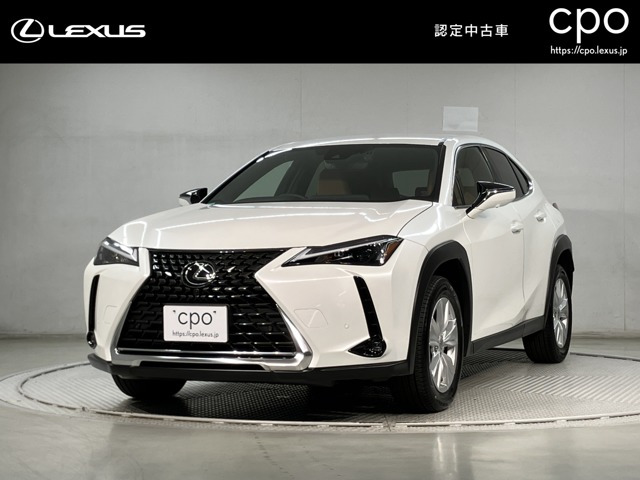 UX250h バージョンC