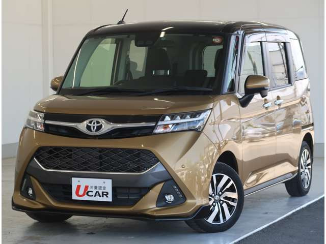 タンク1.0 カスタム G