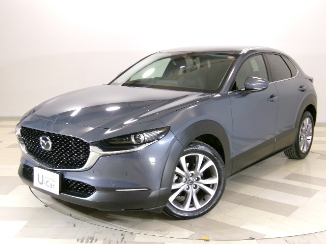 CX-302.0 20S プロアクティブ ツーリングセレクション