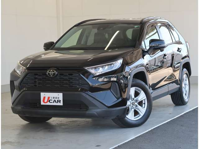 RAV42.0 X