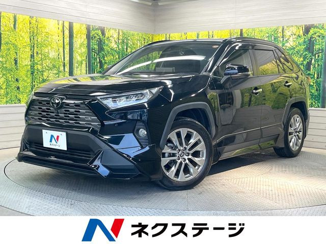 RAV42.0 G Zパッケージ 4WD