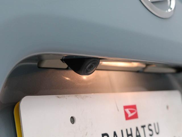 タントファンクロス リミテッド