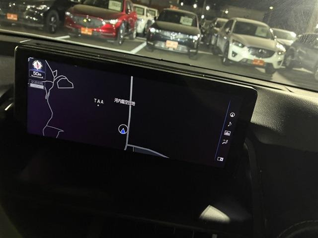 NX300 スパイス&amp;シック