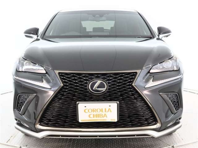 NX300h Fスポーツ