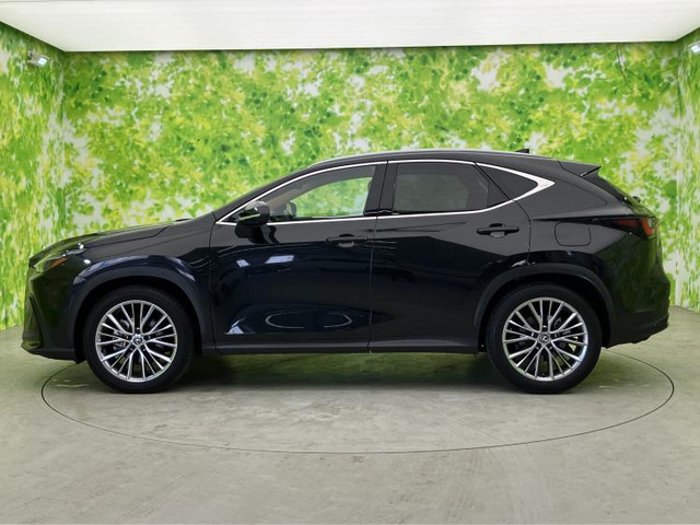 NX350h バージョンL