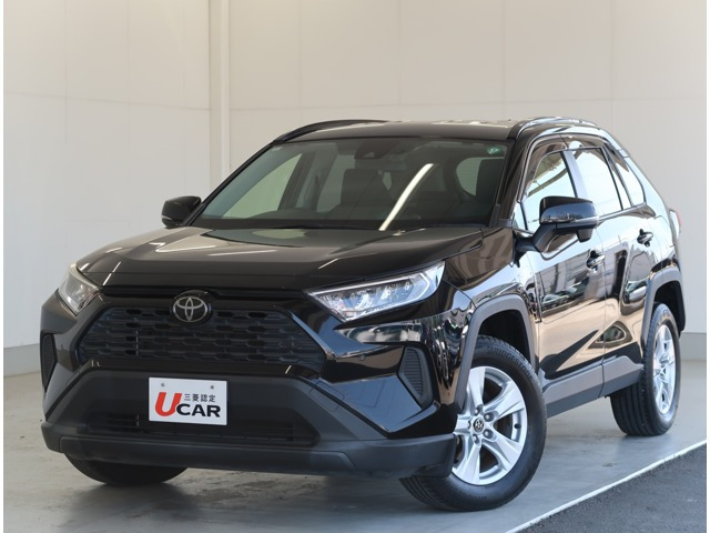 RAV42.0 X