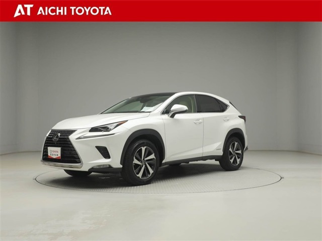 NX300h バージョンL