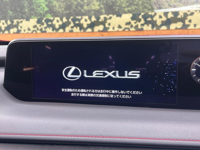 UX250h Fスポーツ