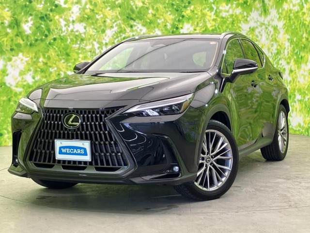 NX350h バージョンL