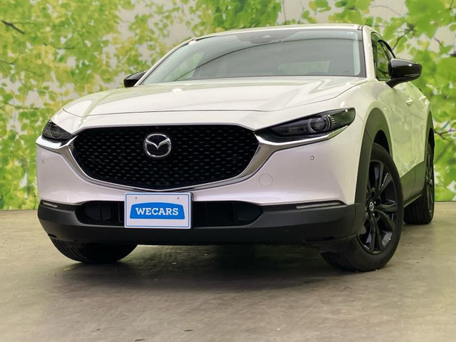 CX-302.0 20S ブラックトーンエディション 4WD