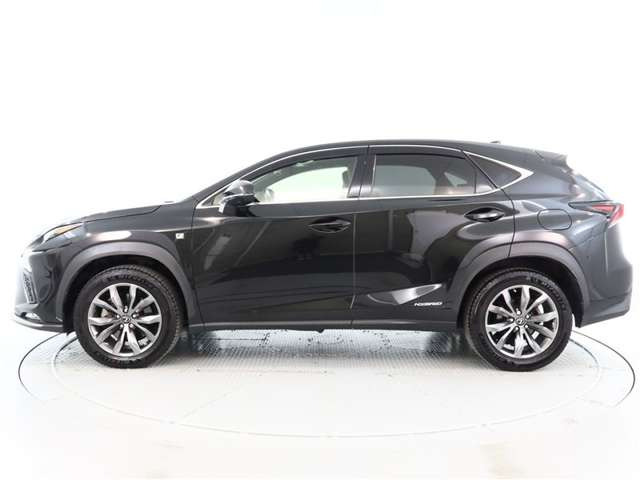 NX300h Fスポーツ