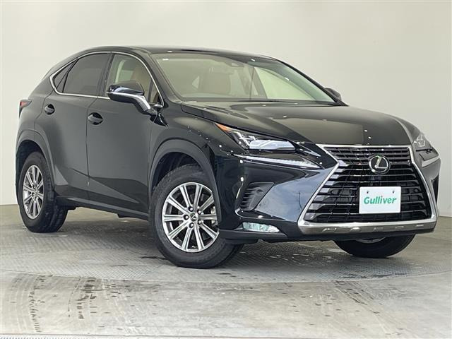 NX300 Iパッケージ