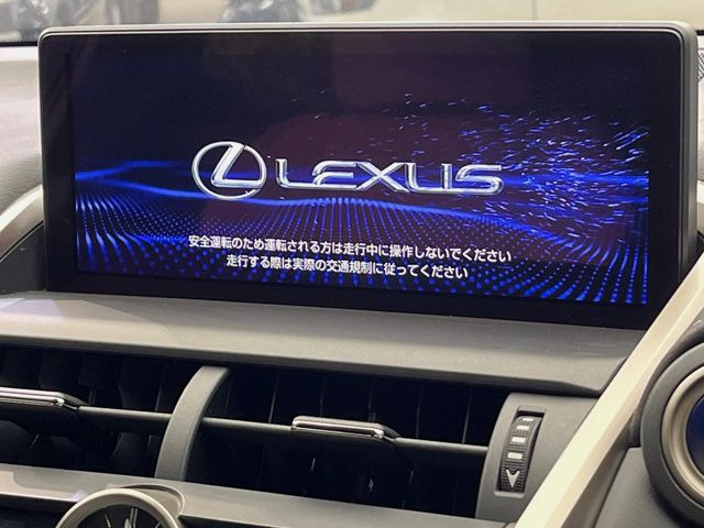 NX300h Fスポーツ