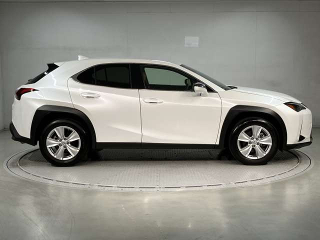 UX250h バージョンC