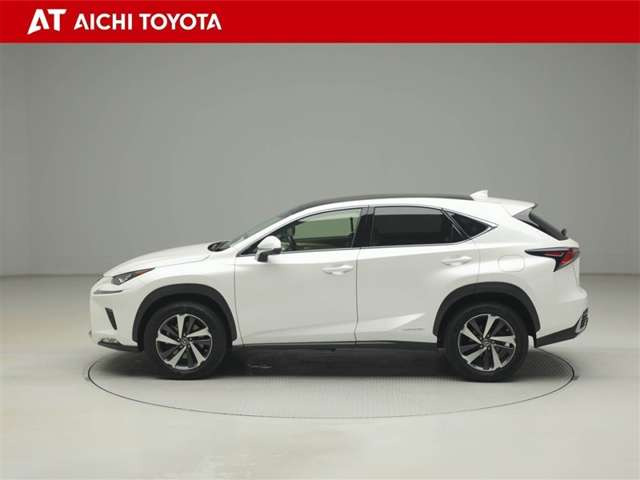 NX300h バージョンL