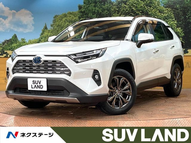 RAV42.5 ハイブリッド G E-Four 4WD